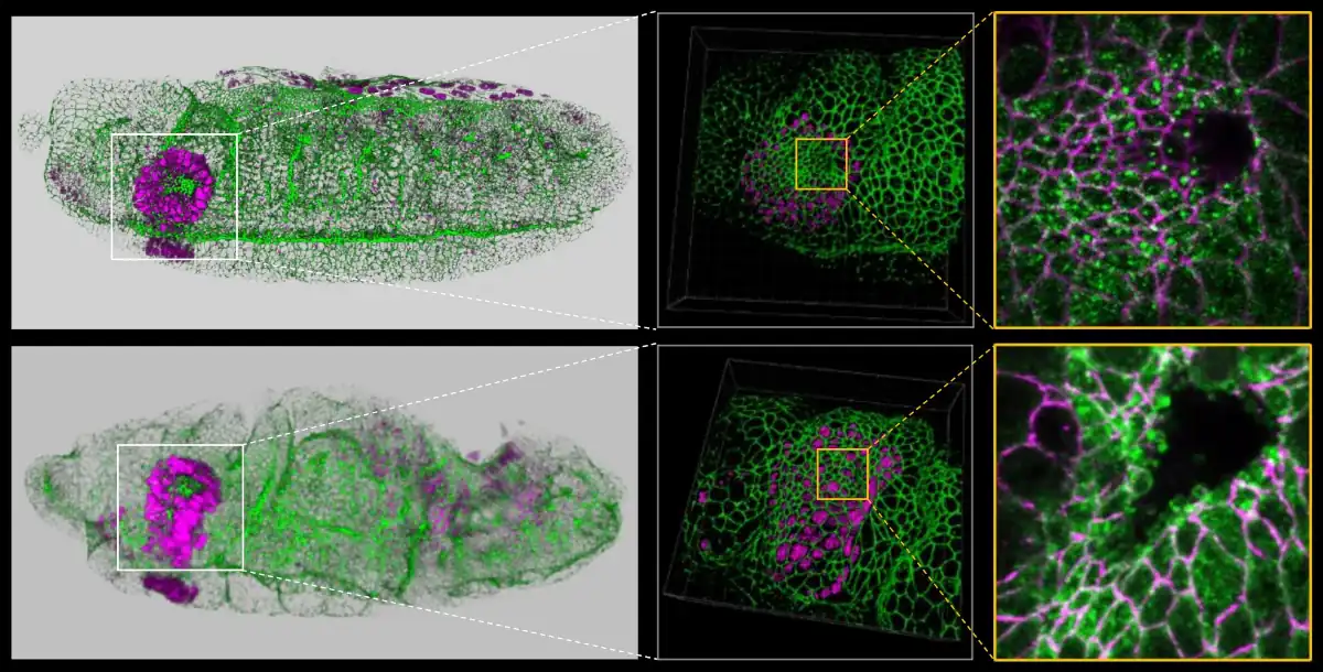 Huygens Image Contest 6th Prize Winner