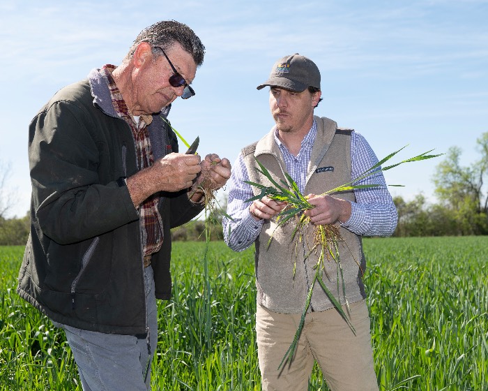Farmer and LSU AgCenter Extension 