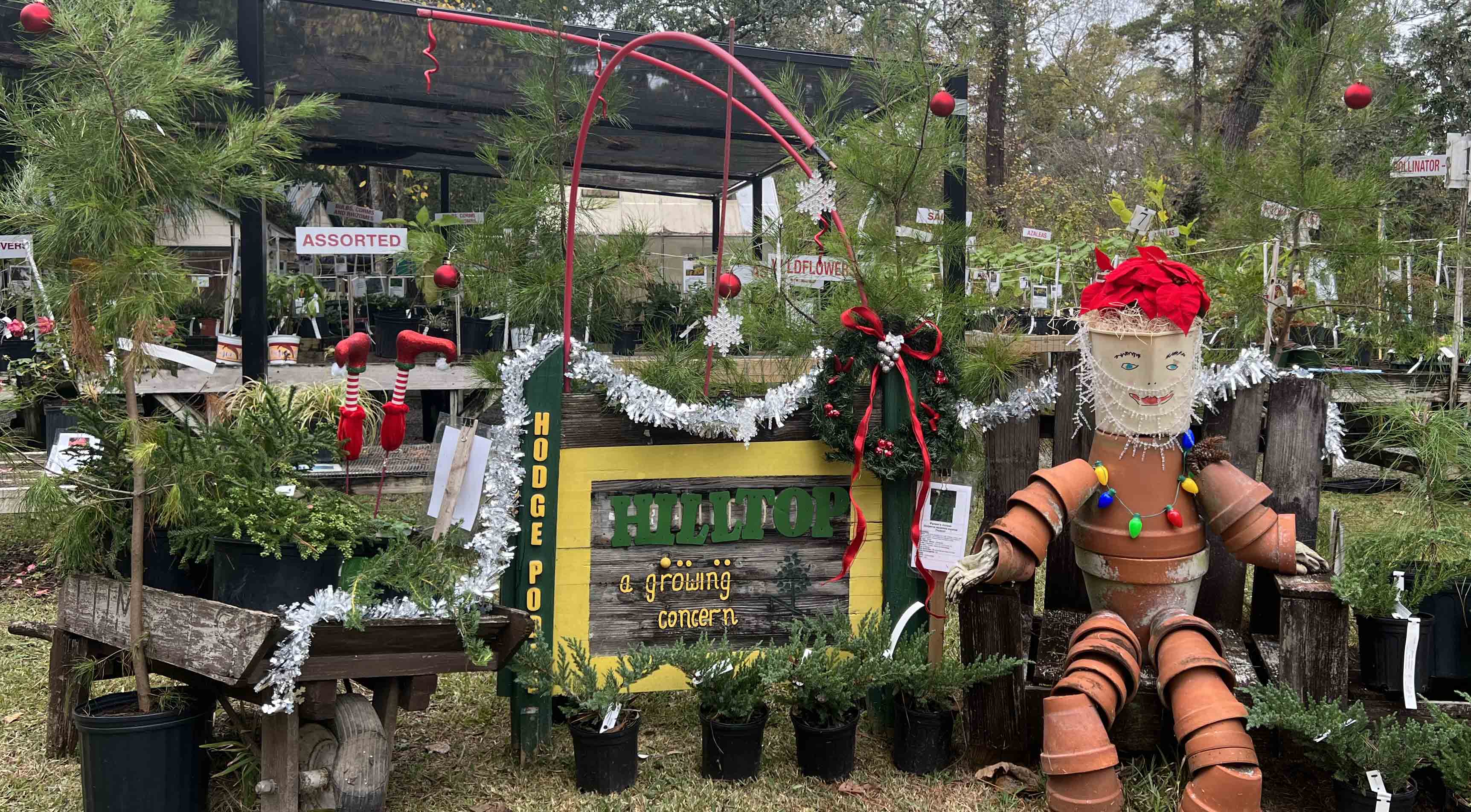 santa potman in front of hilltop nursery