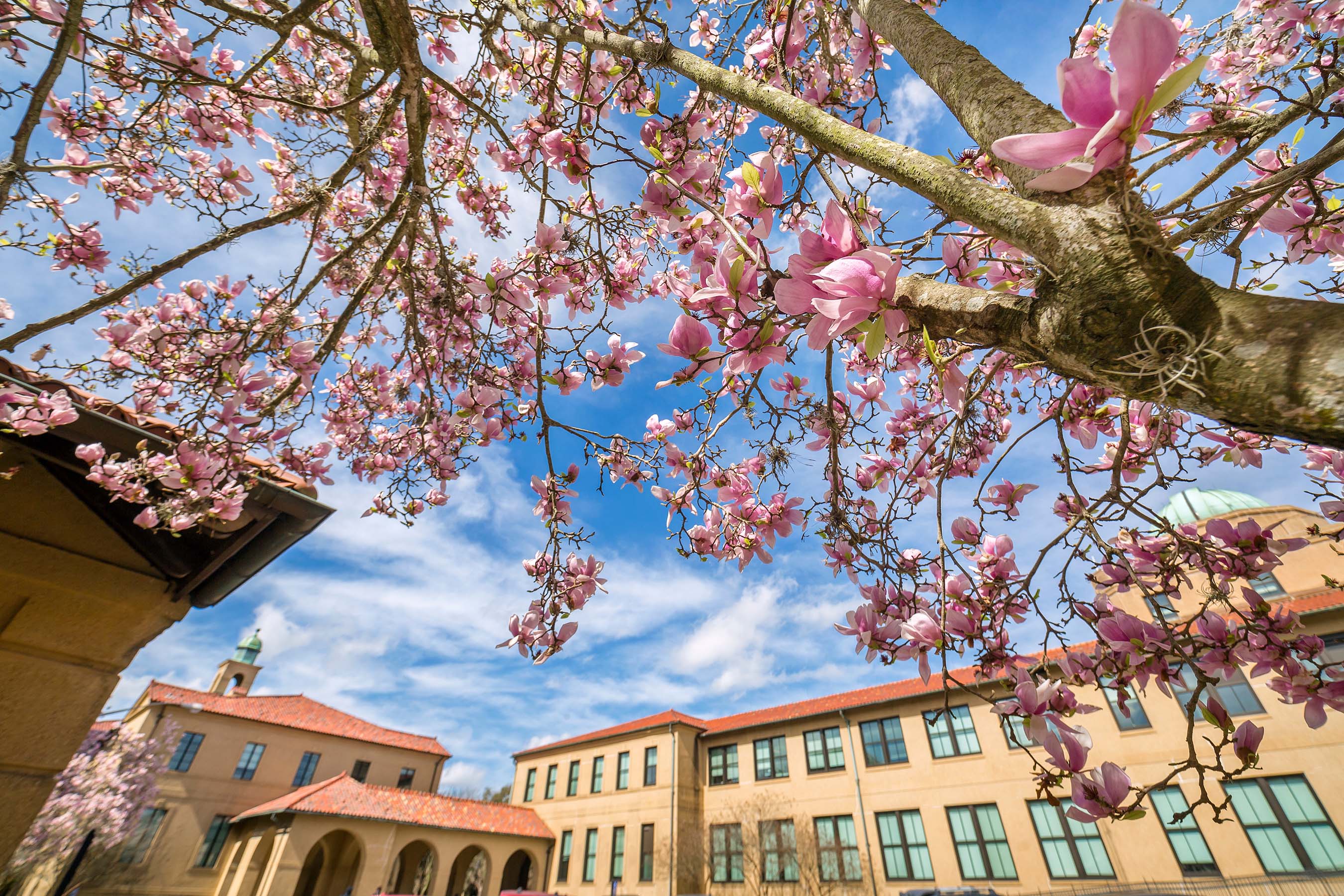 campus