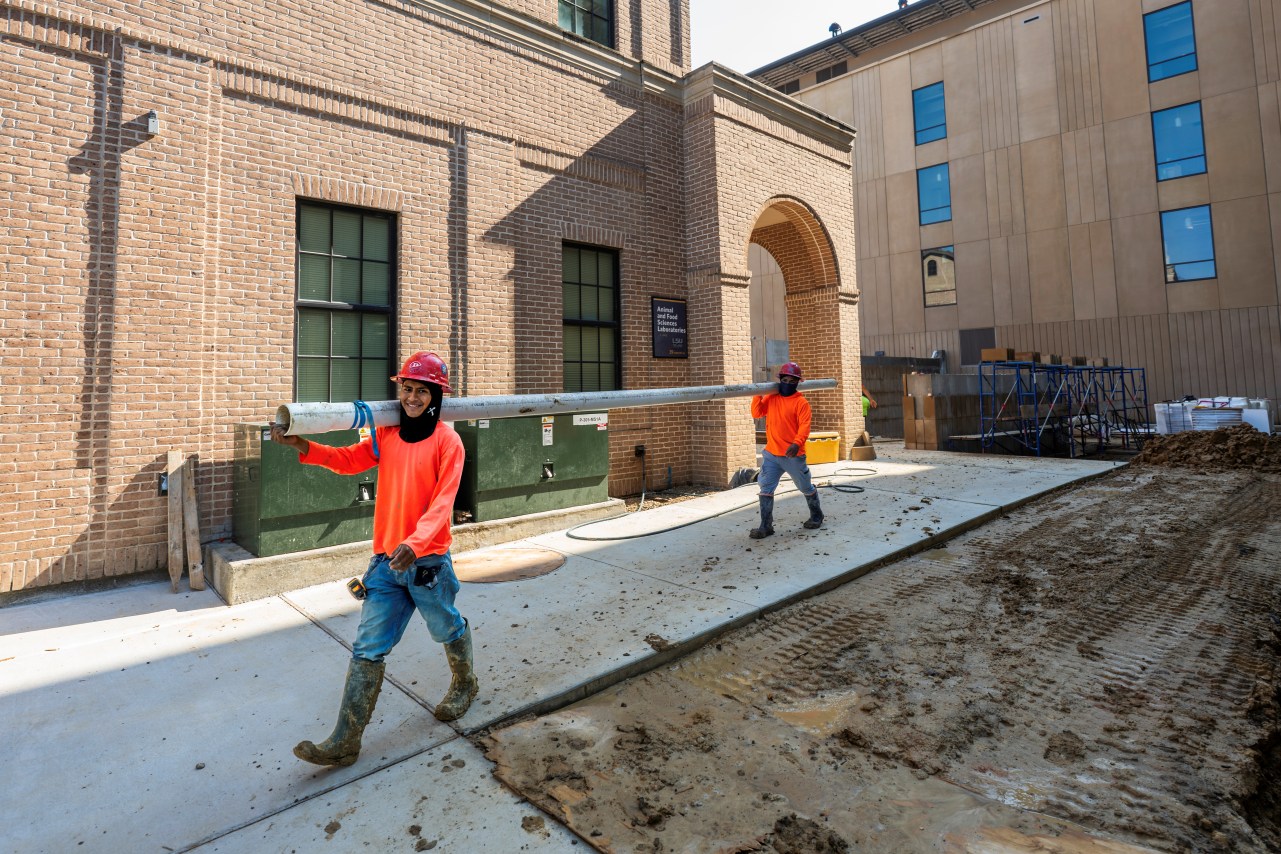 workers