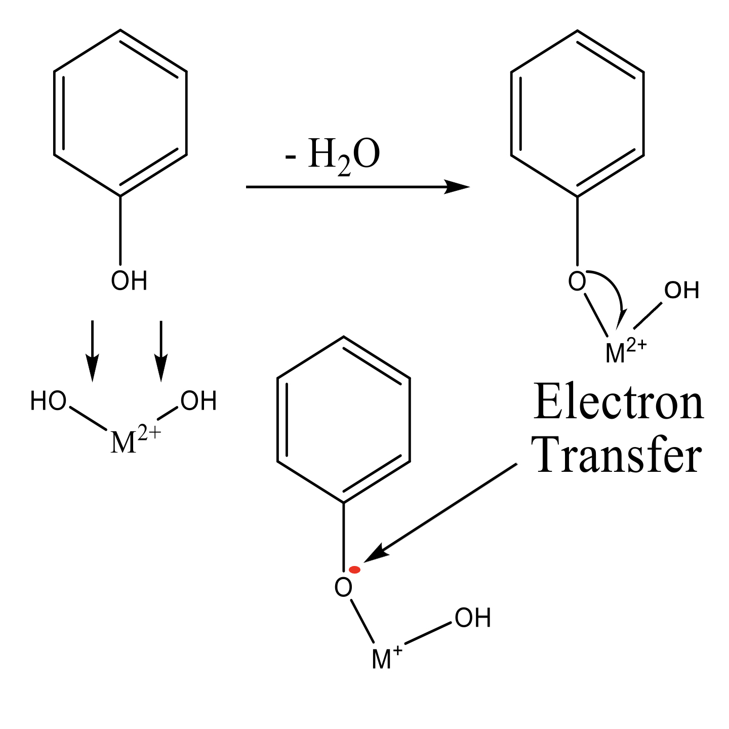 Electron transfer creates environmentally persistent free radicals