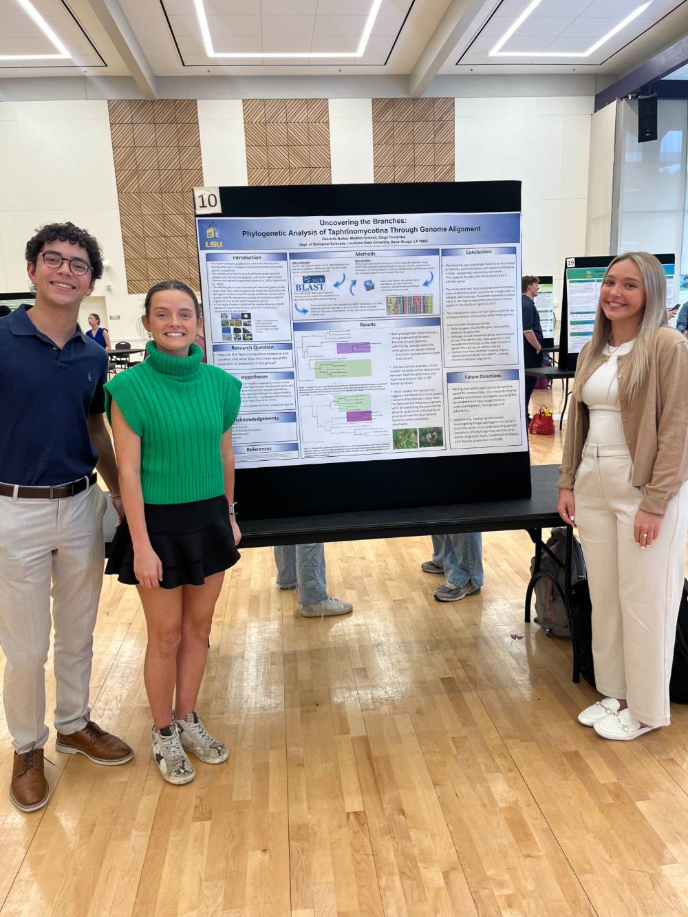 alt text description