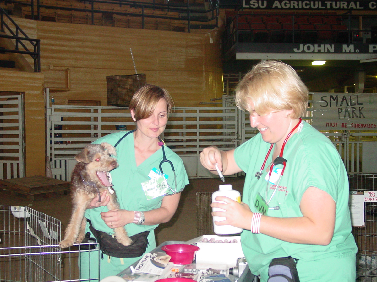 volunteers from Cornell's veterinary school
